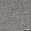 Scholarship II Commercial Carpet Tiles 24x24 Inch Carton of 18 Sienna Full