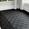 Kennel with midnight black G-Floor Protective Kennel Floor Mat Levant Texture 55 mil x 5x10 Ft.