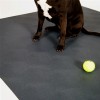 Dog want to play ball on G-Floor Protective Kennel Floor Mat Levant Texture 55 mil x 5x10 Ft. in slate gray