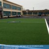 Bermuda Artificial Grass Turf 15 ft width agility field 