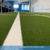 Bermuda Artificial Grass Turf Roll Agility Lane 1