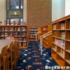 Kids Children's Carpet Tiles Bookworm Install 1 Library