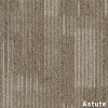 Point of View Commercial Carpet Plank .27 Inch x 18x36 Inches 10 per Carton Astute color close up