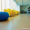 LonEco Commercial Vinyl Rolls with Topseal 6x60 Ft chamomile in library