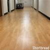 LonWood Madera Commercial Vinyl Rolls 6x60 Ft Shortbread hallway install