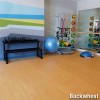 LonWood Performa Full Bolt mixed use gym buckwheat