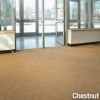 Commercial Calypso Heavy Duty Carpet Tile Lobby 