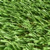 Greatmats Pet Turf Choice 1-1/4 Inch x 15 Ft. Wide Per LF close up