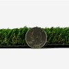 Greatmats Pet Turf Select 1 Inch x 15 Ft. thickness with quarter