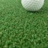 Greatmats Golf Turf Pro ball close up