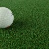 Greatmats Golf Turf Pro texture with ball