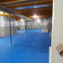 dog agility mats in basement training room