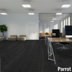 echo commercial carpet planks in color parrot green in alternating half pattern in office