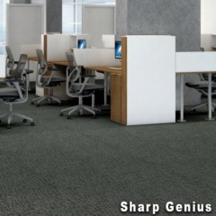 Genius Commercial Carpet Tiles 6.3 mm x 24x24 Inches 20 Per Case