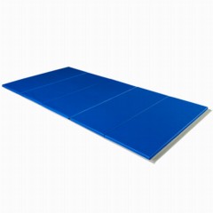 Gym Mat 5x10 ft x 2 inch V2 Custom blue