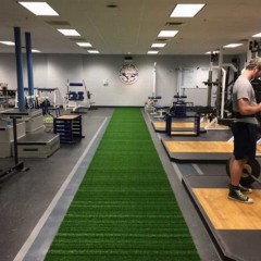 Gym Turf Roll 365 Portable Indoor Sports Turf per SFgrass strip