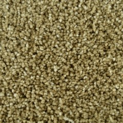 Easy Street Peel and Stick Plush Carpet Tiles 3/4 Inch x 18x18 Inches 10 Per Carton Acorn color