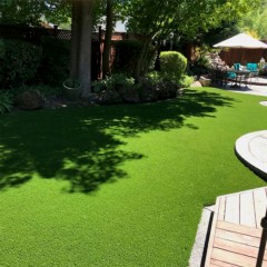 Natures Cut Artificial Grass Turf 1-5/8 Inch x 15 Ft. Wide Per SF