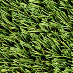 Sunny Sod Artificial landscaping turf top view