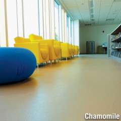 LonEco Commercial Vinyl Rolls with Topseal 6x60 Ft chamomile in library