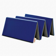 YRLLENSDAN Gymnastics Mat, 10x4 FT Foldable Tumbling Mat 4 Folding Mat 2  Inches Thick for Tumbling Stretching, Purple