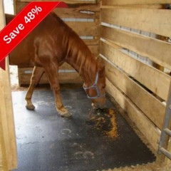 Portable Horse Stall Mats 3/4 Inch x 2x2 Ft.