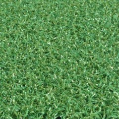 Putting Green Turf Texture