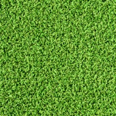 Greatmats Choice Golf Putting Green Turf top view